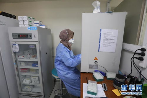 行天下之大道，匯眾志而致遠(yuǎn) 戰(zhàn)疫中的‘一帶一路’與海外中企彰顯全球公共產(chǎn)品價值